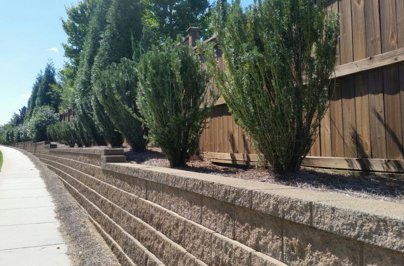 Hardscape Wall Construction in Pasco County, FL